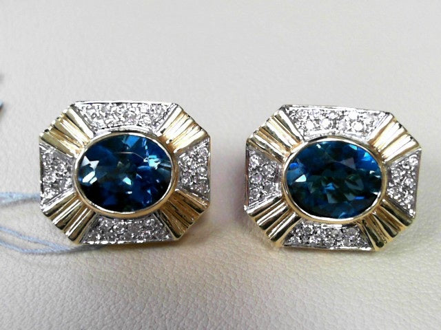 Precious Metal Gemstone Earring