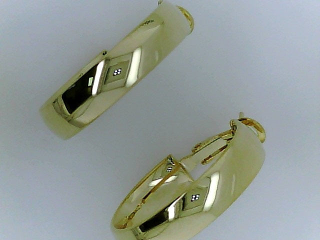 Precious Metal Earring