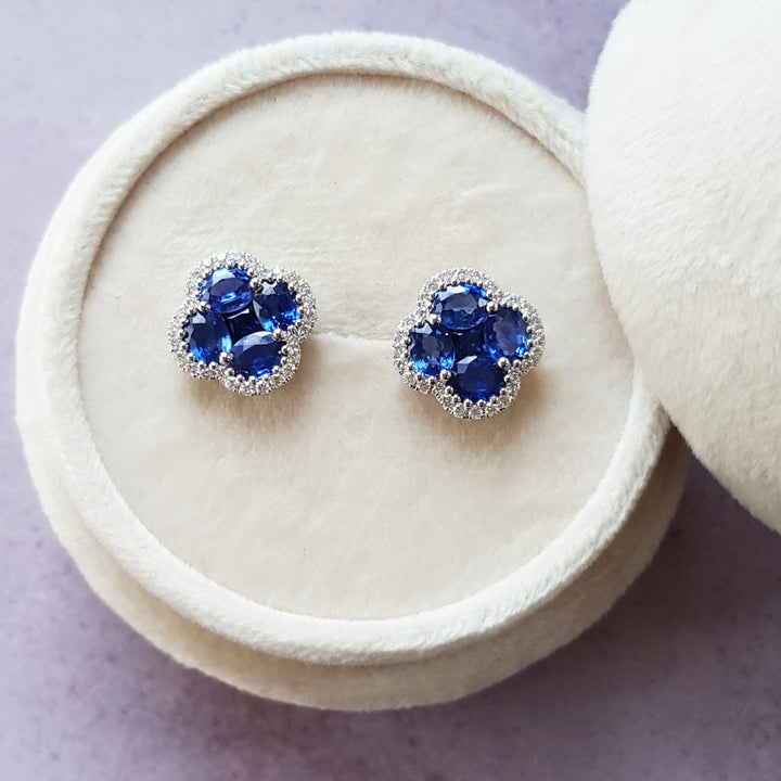 Lucky Sapphire Clover Studs