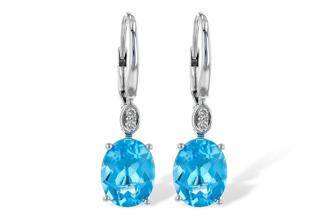 Precious Metal Gemstone Earring