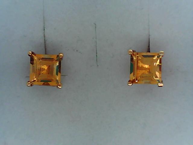 Precious Metal Gemstone Earring