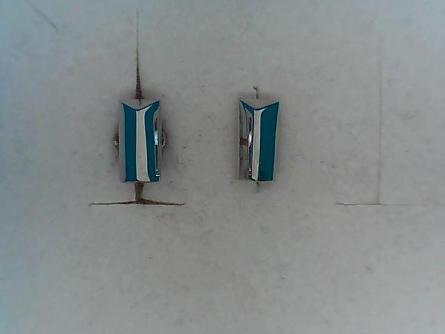 Precious Metal Earring