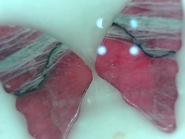 Loose Mined Diamond
