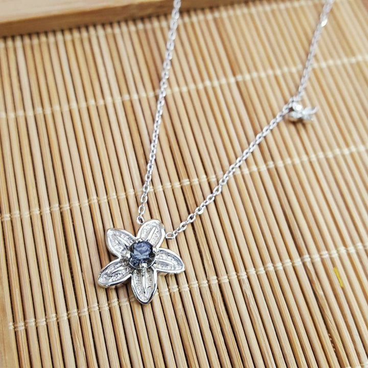 American Gem Collection Alpine Forget-Me-Not