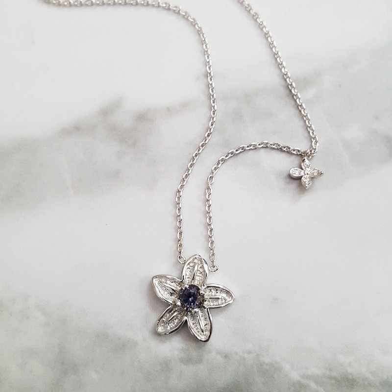 American Gem Collection Alpine Forget-Me-Not