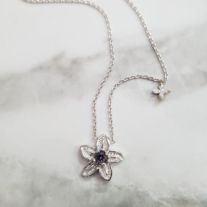 American Gem Collection Alpine Forget-Me-Not