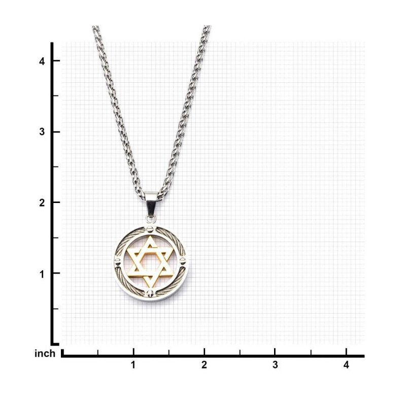 INOX Jewelry Steel Gold IP Star of David with Cable Inlayed in Circle Pendant