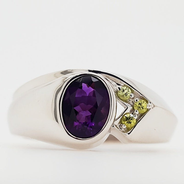 Arizona Amethyst Silver Jewelry Men's Arizona Bezel Ring